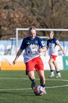 Bild 229 - wBJ Hamburger SV - Hertha BSC : Ergebnis: 2:1
